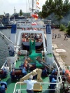BALTICA