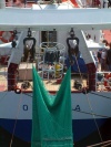 BALTICA